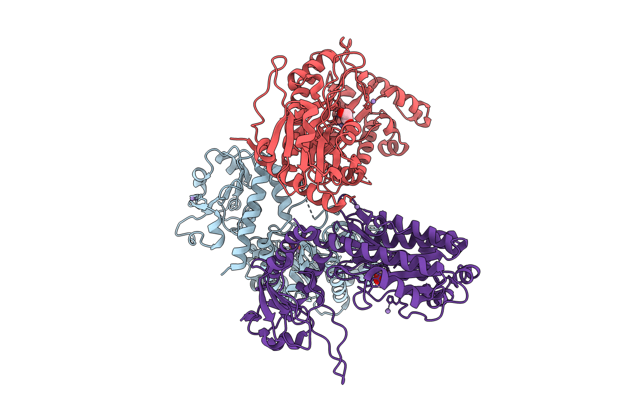 3L24 image