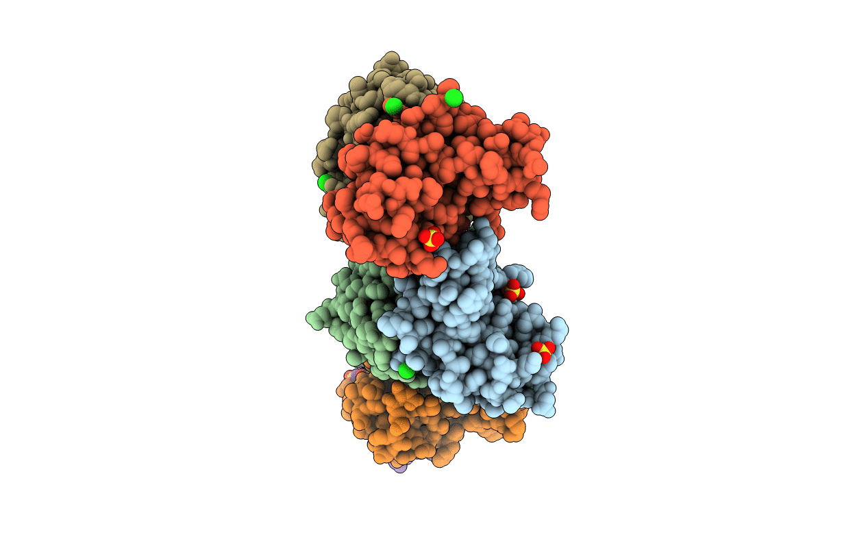 3L28 image