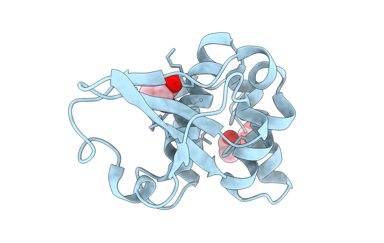 3L2A image