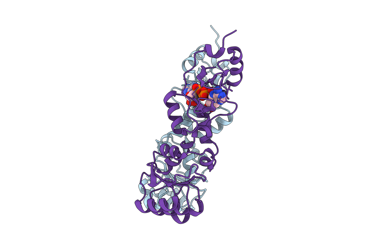3L2B image