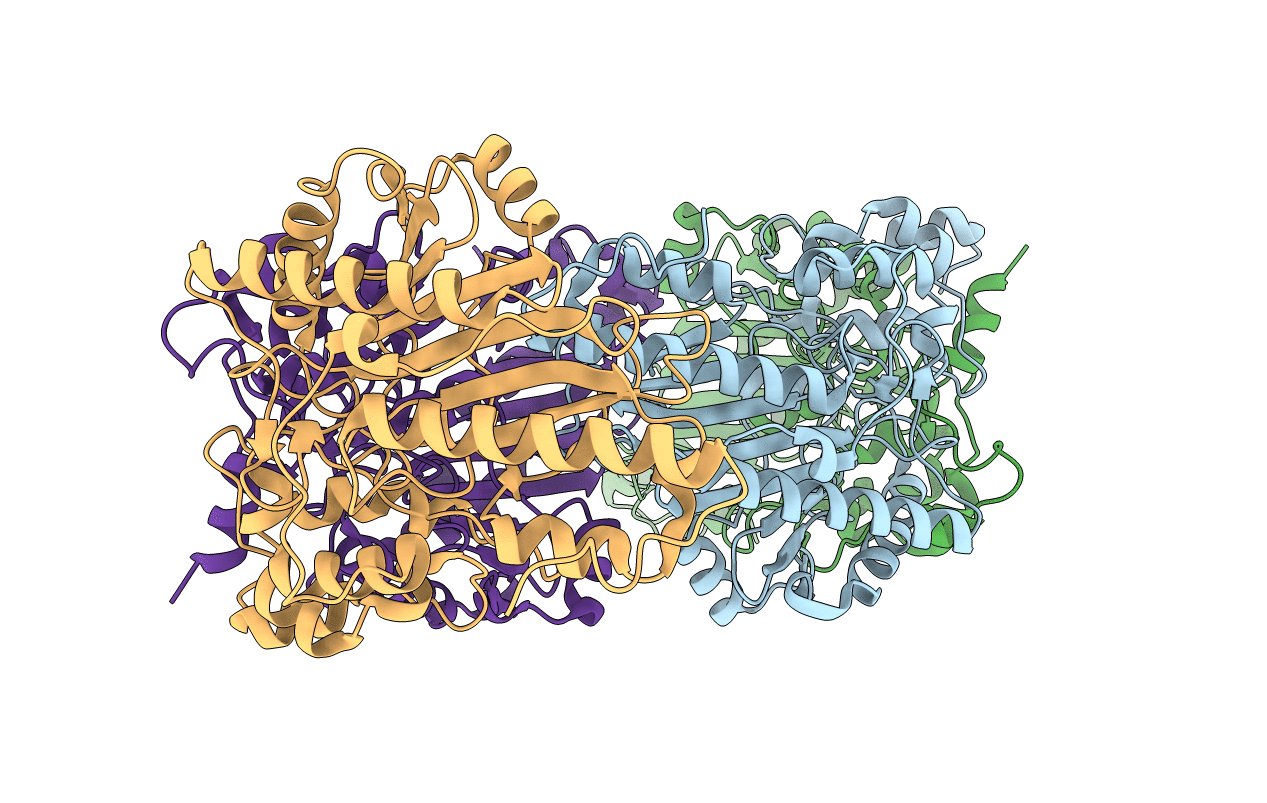3L2E image