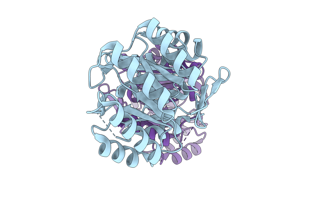 3L2I image