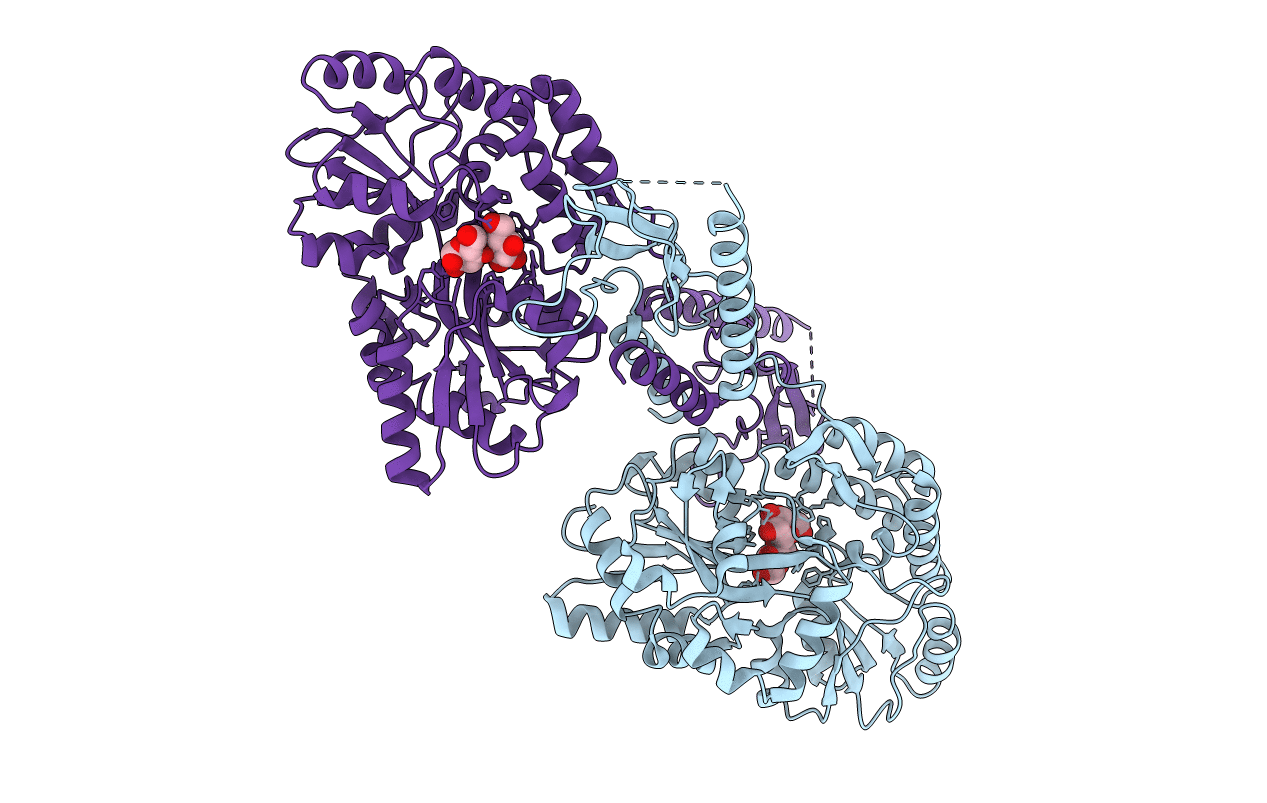 3L2J image