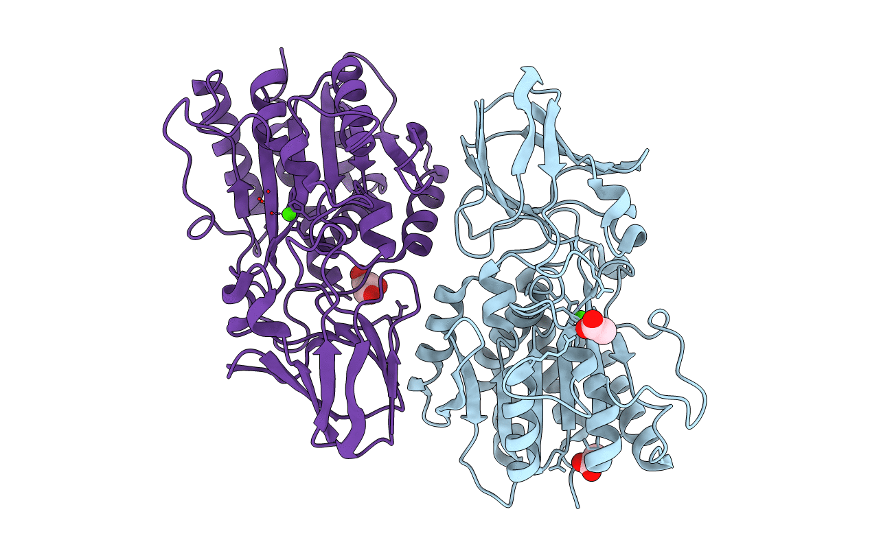 3L2N image