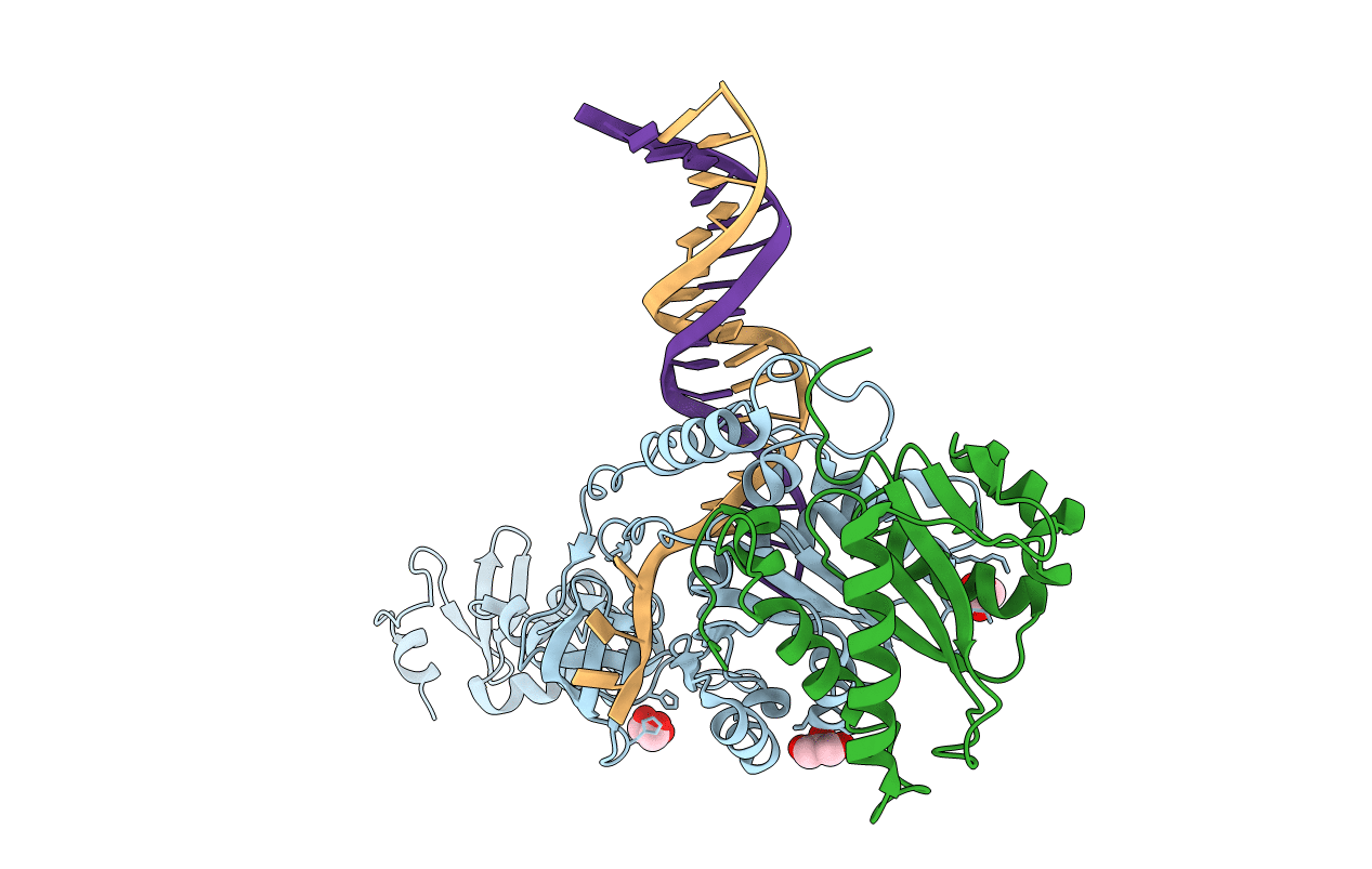3L2Q image