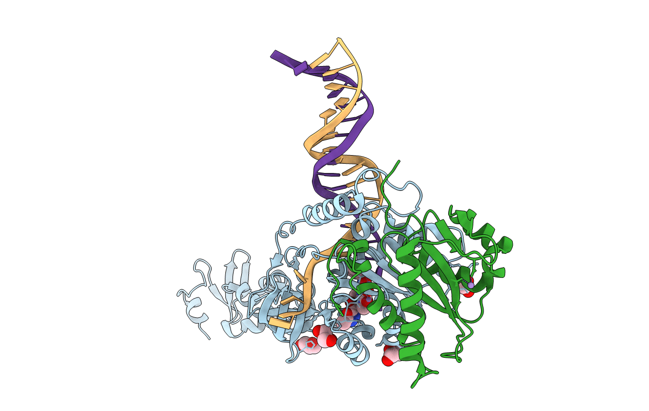 3L2V image