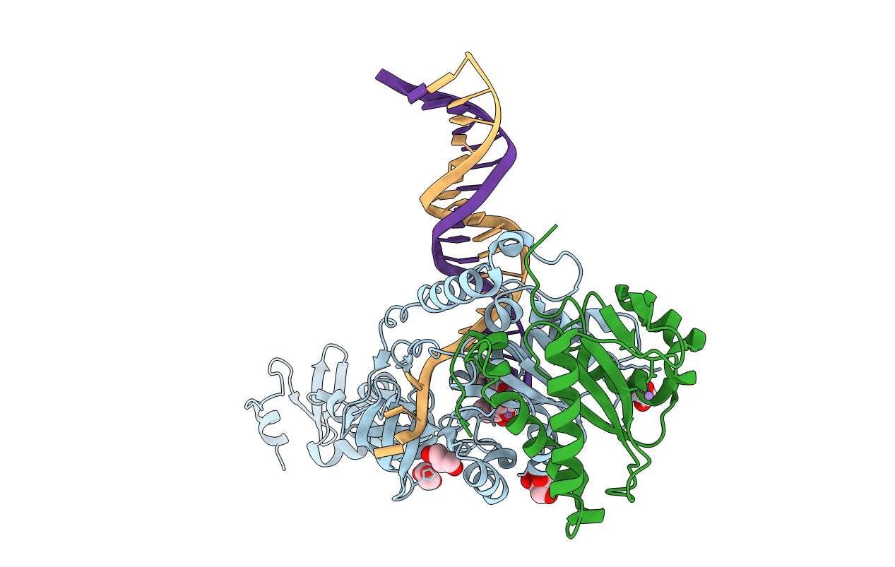 3L2W image