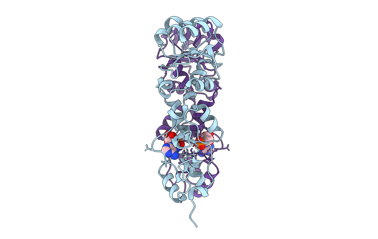 3L31 image