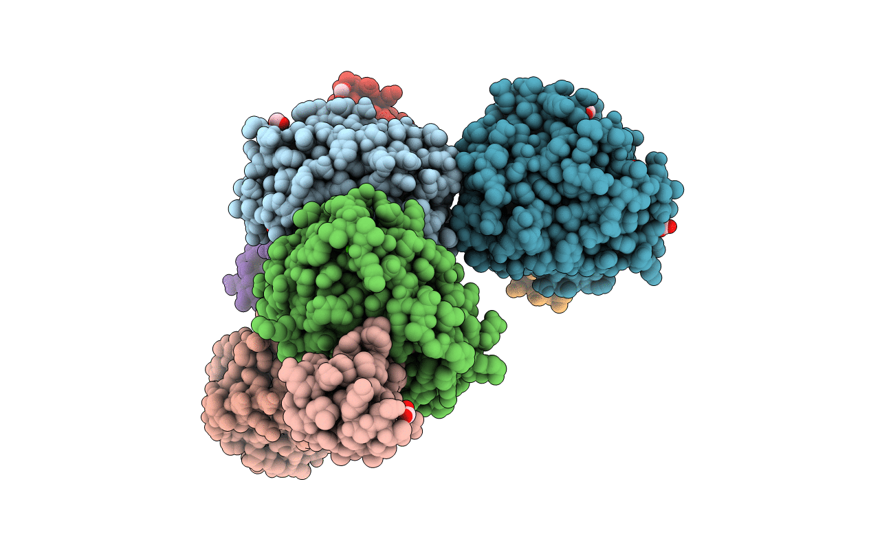 3L33 image
