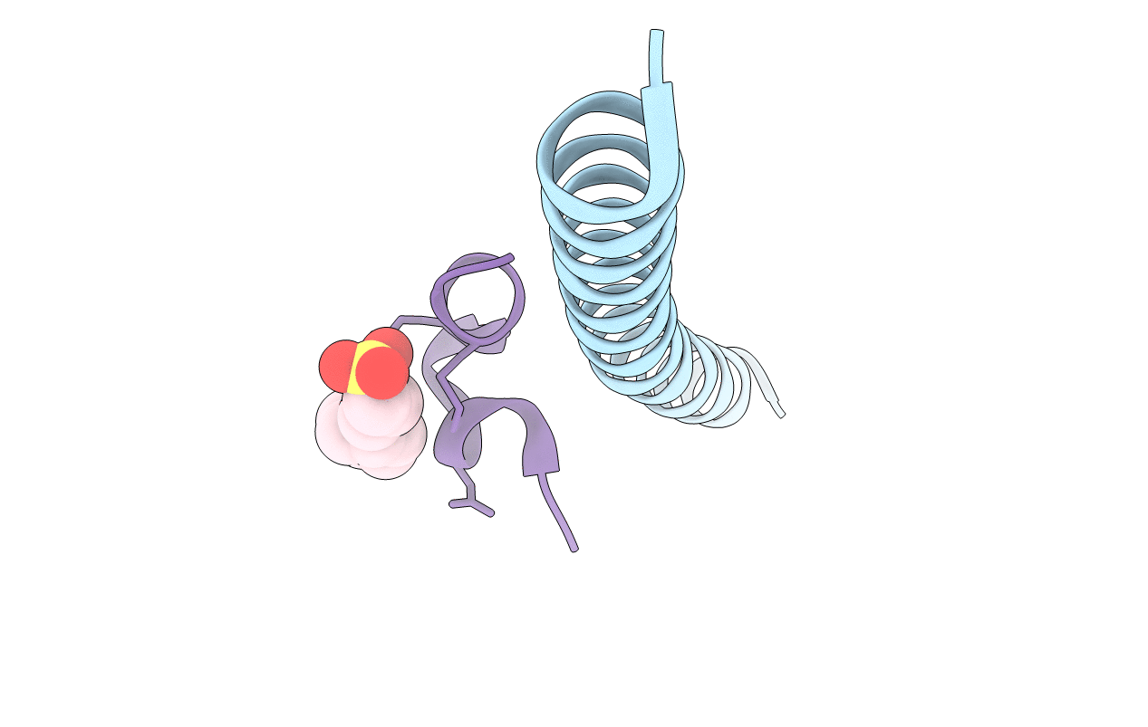 3L36 image