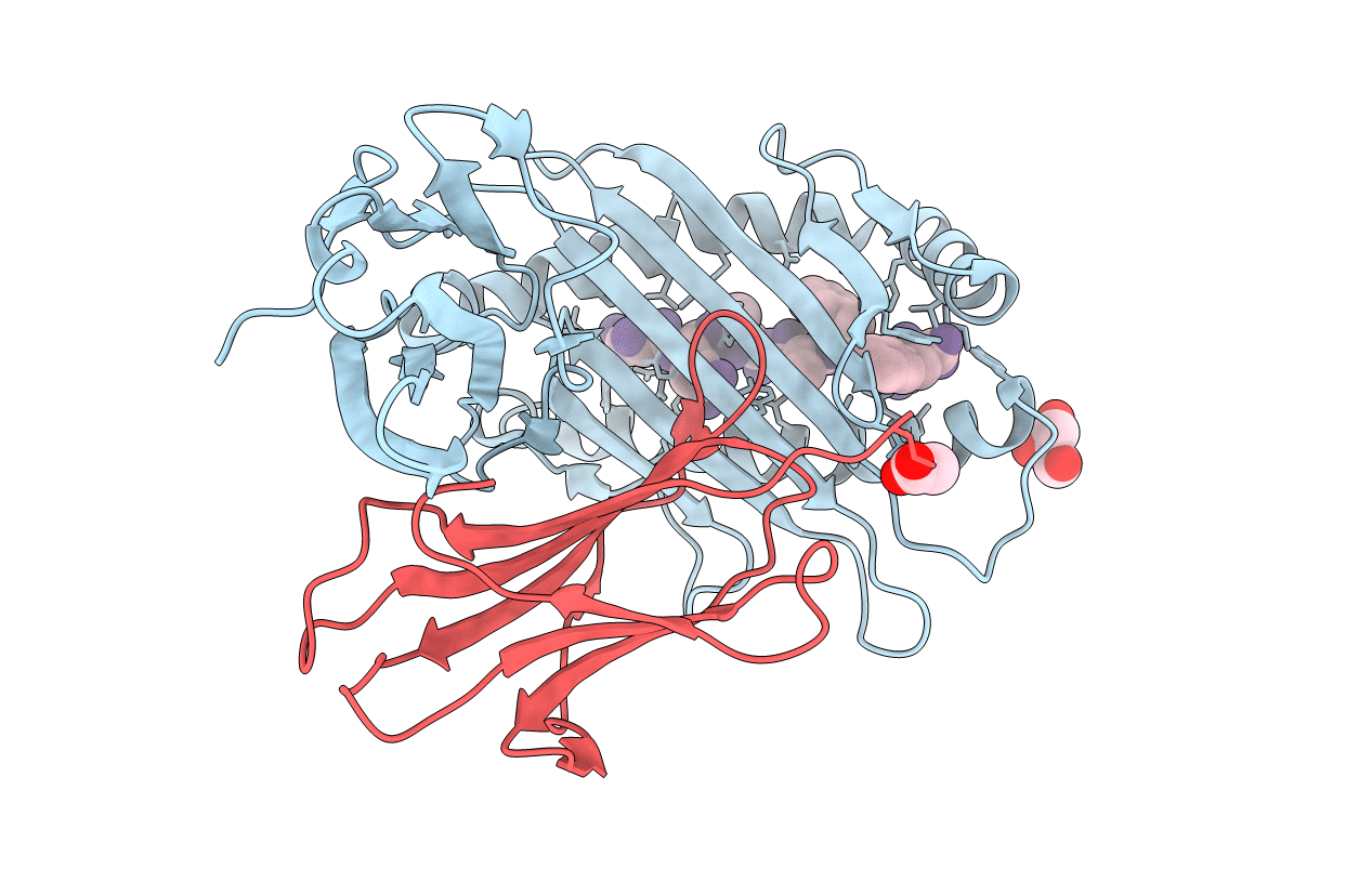 3L3D image