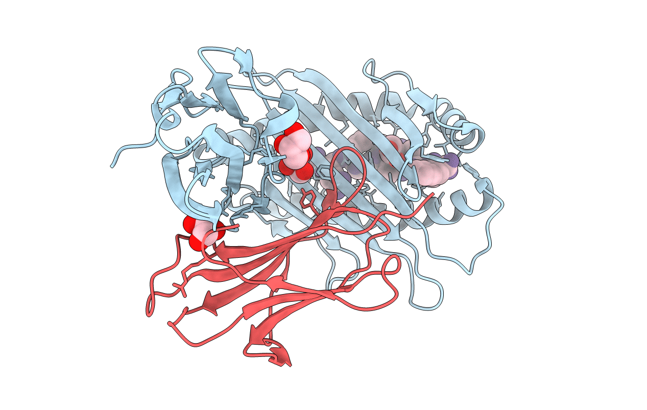 3L3I image