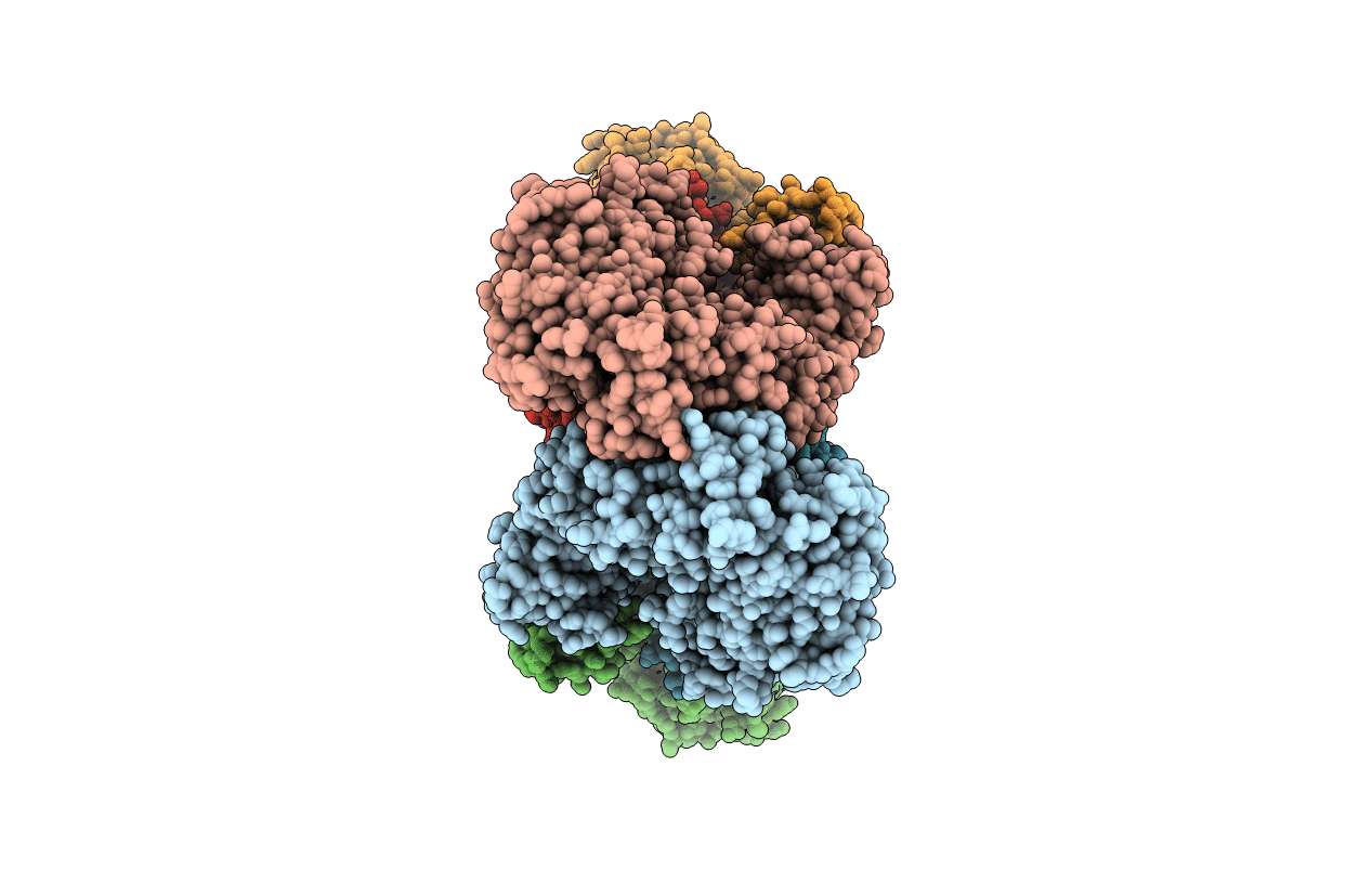 3L3O image