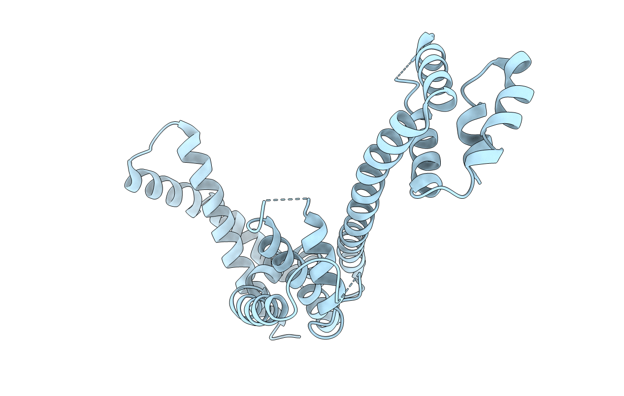 3L3P image
