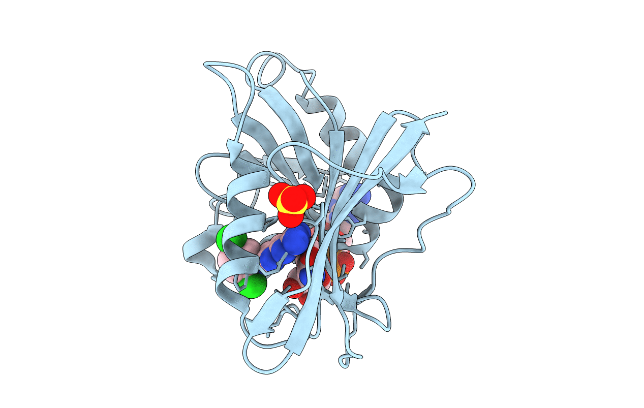 3L3R image