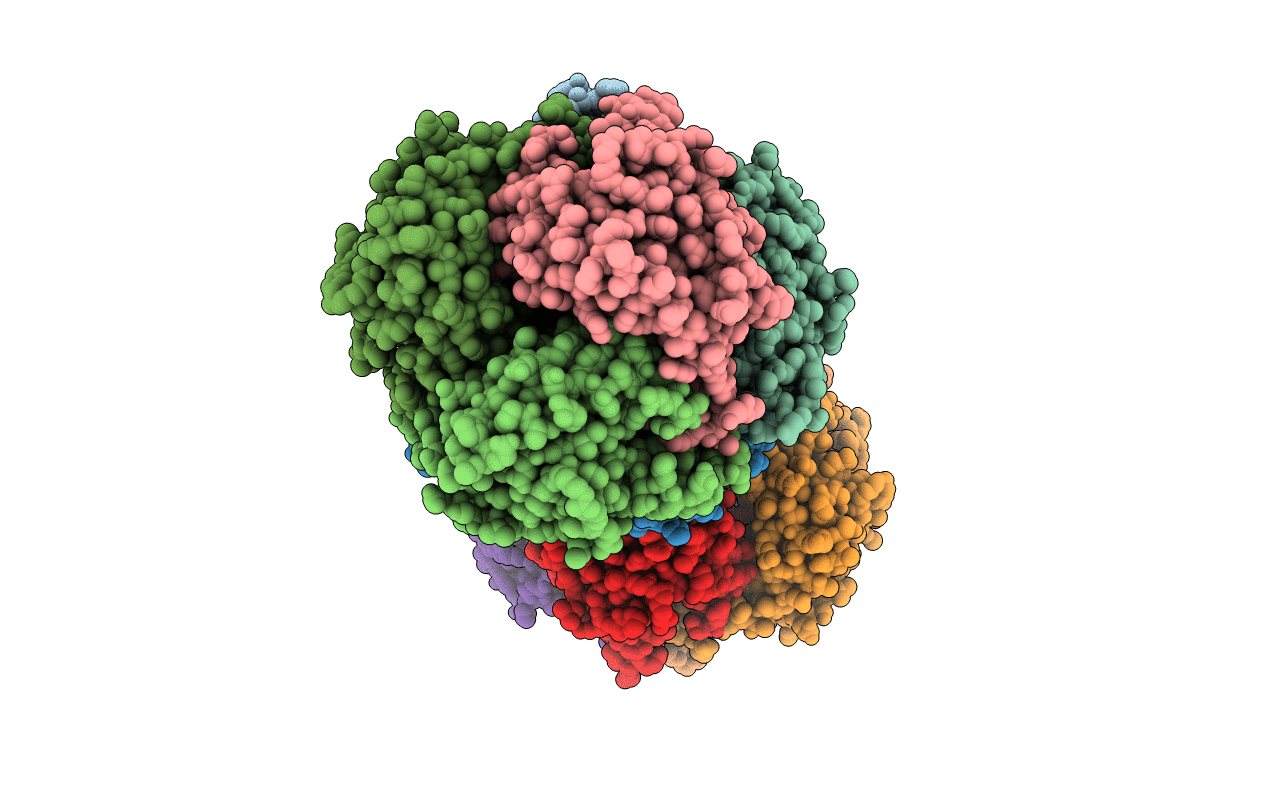 3L3S image
