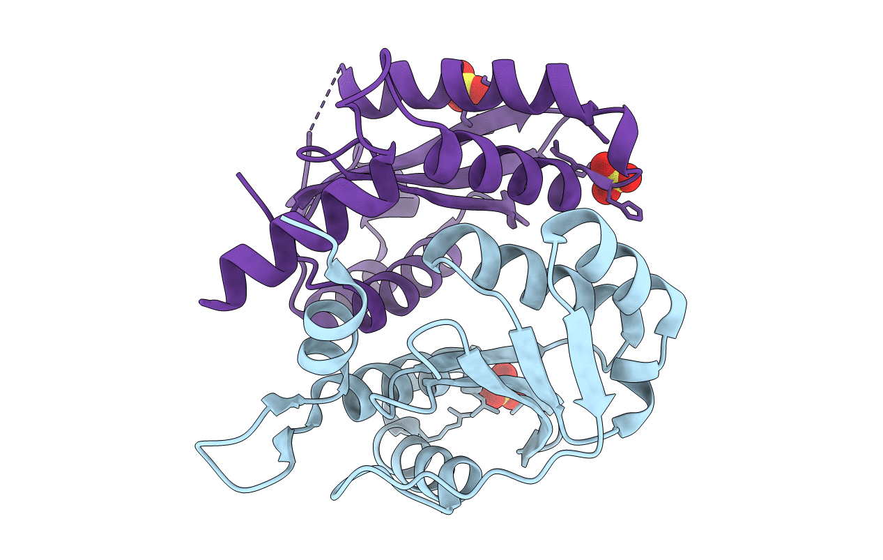 3l3u image