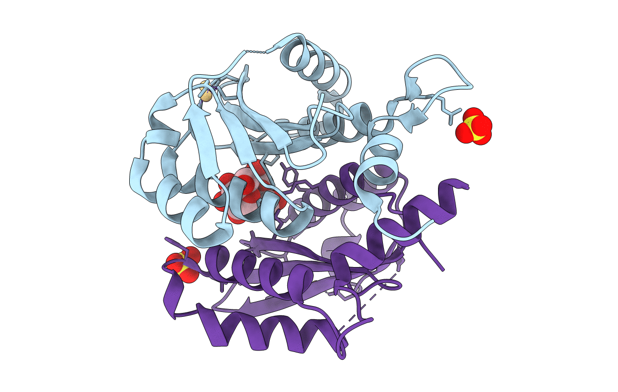 3L3V image