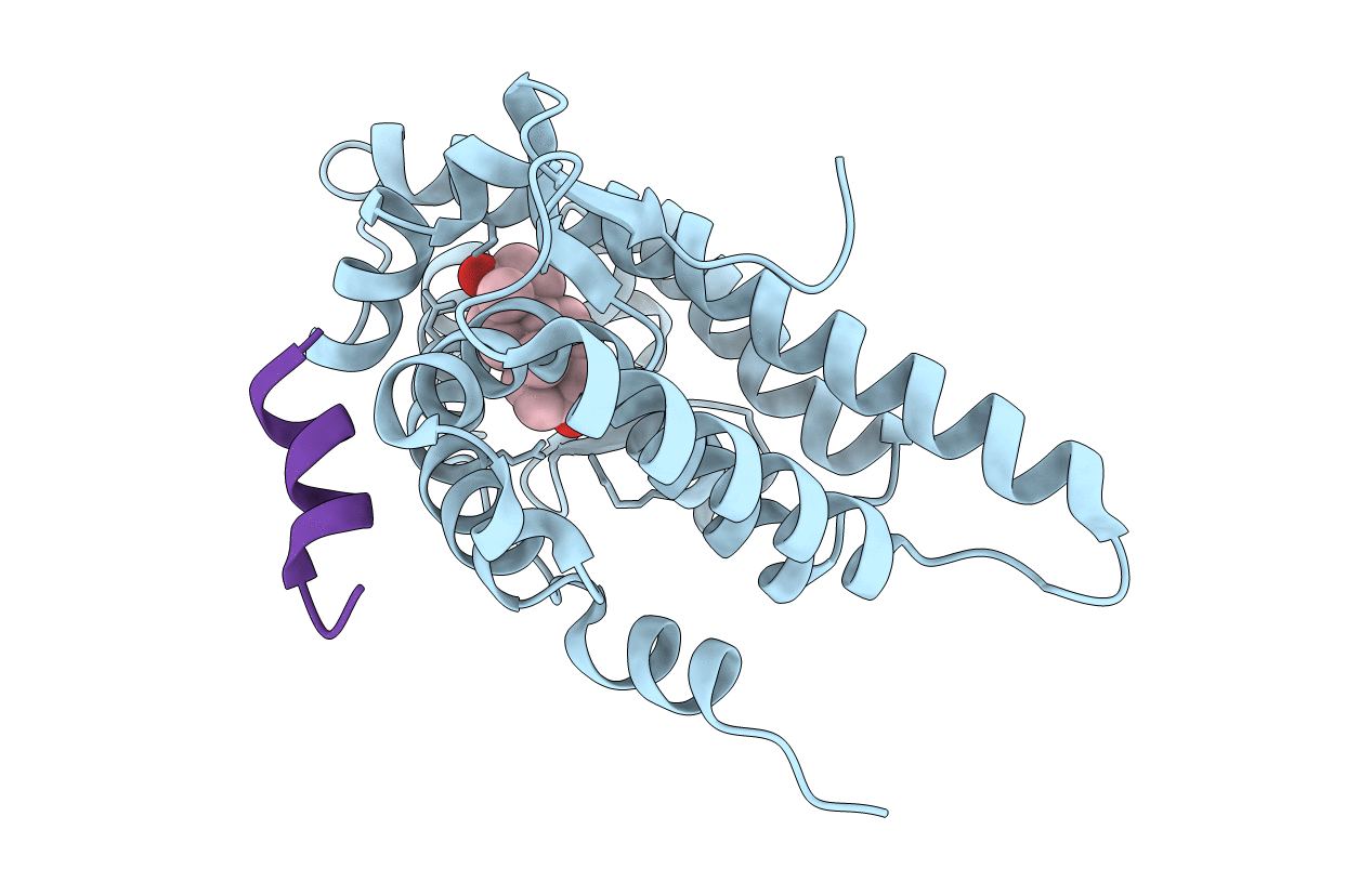 3L3X image