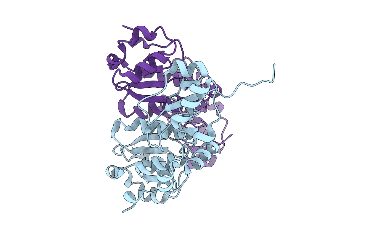 3L40 image