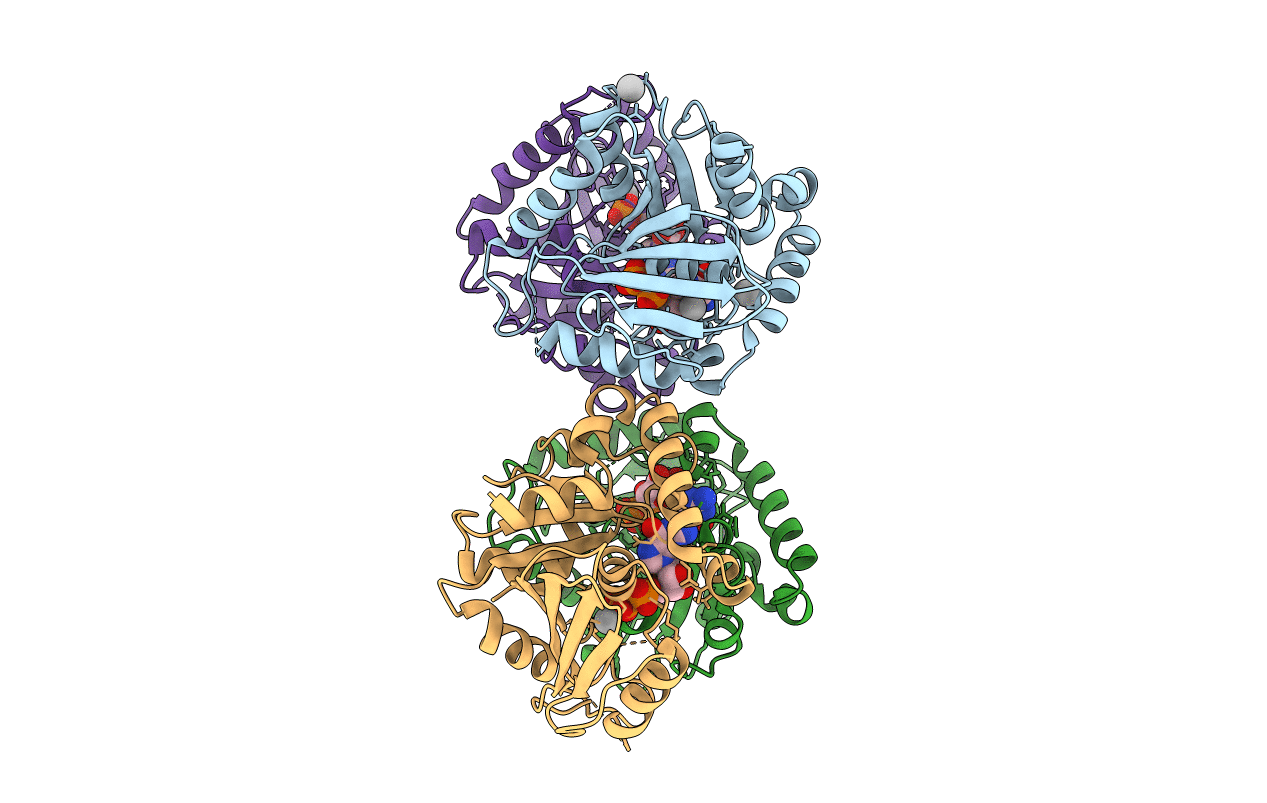 3L43 image