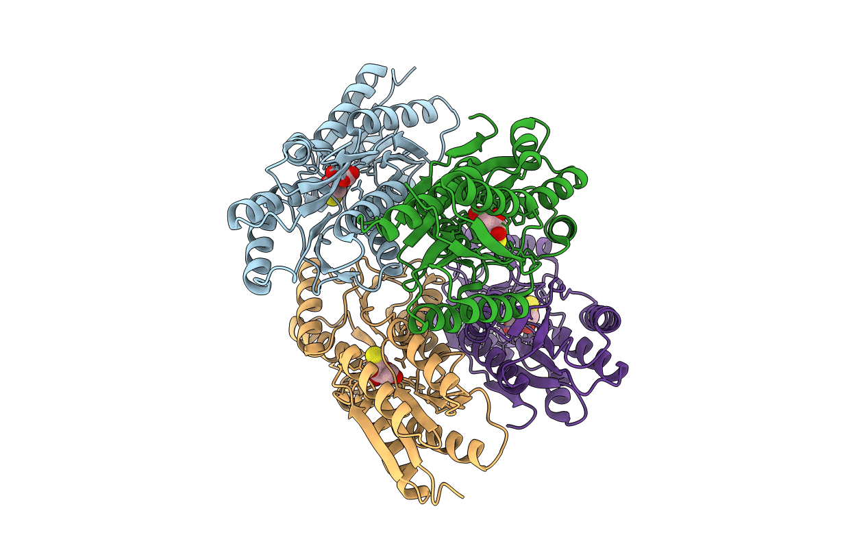 3L49 image