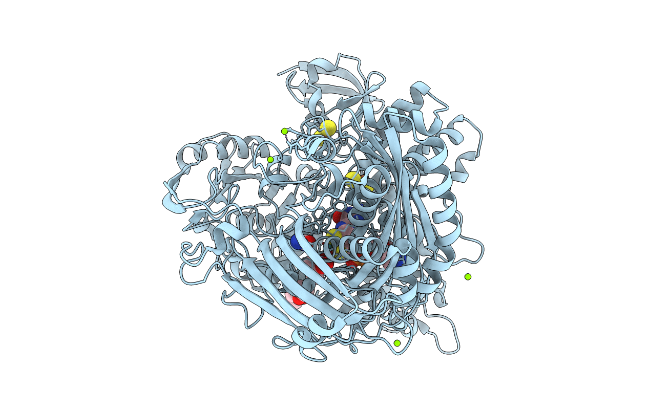 3L4P image