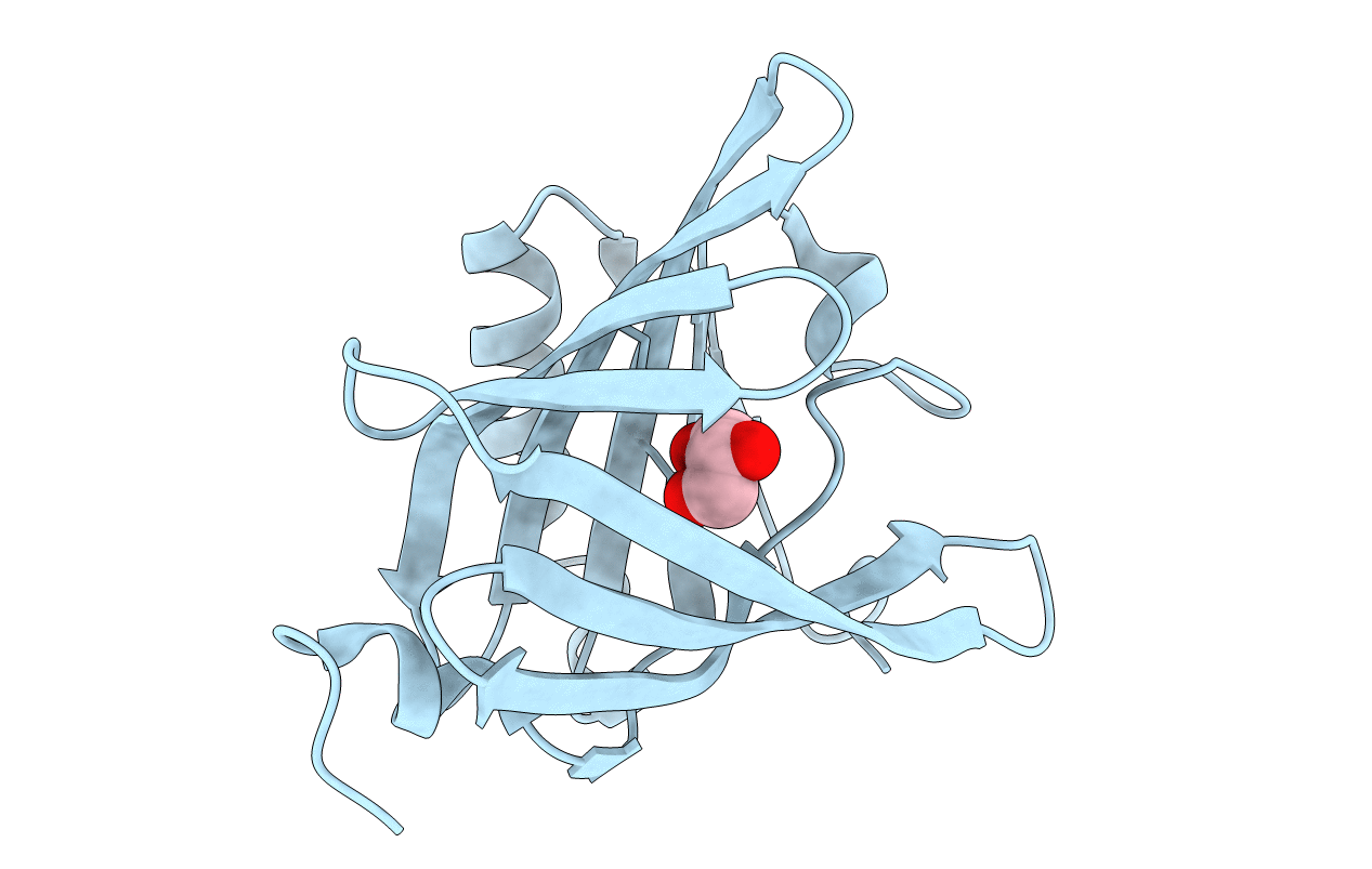 3L4R image