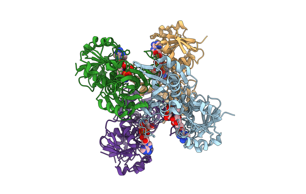 3L4S image