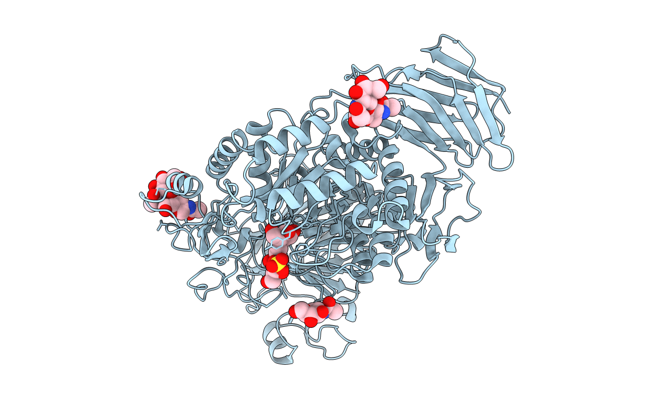3L4V image