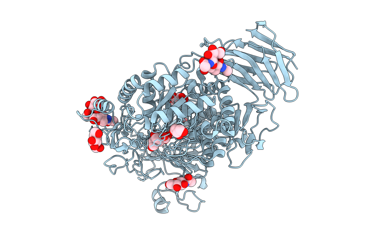 3L4W image