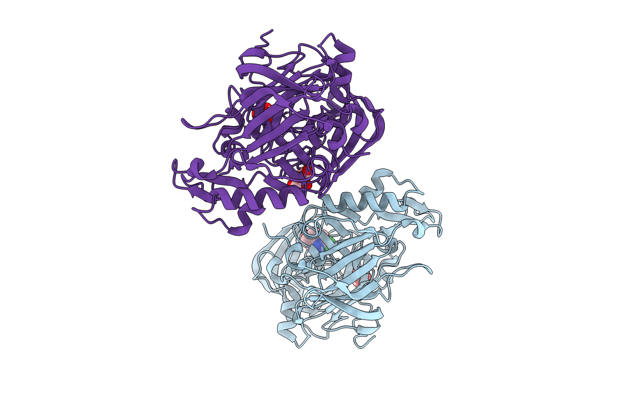 3L59 image