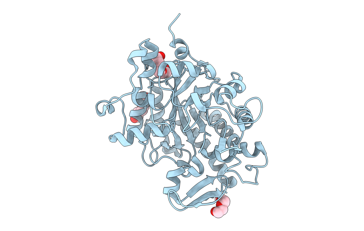 3L5A image