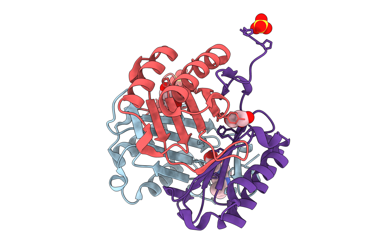 3L5P image