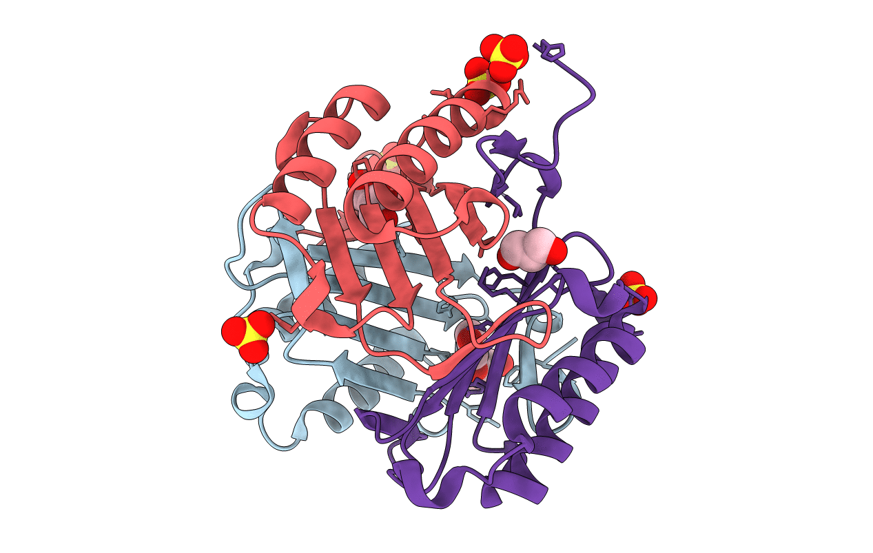 3L5R image