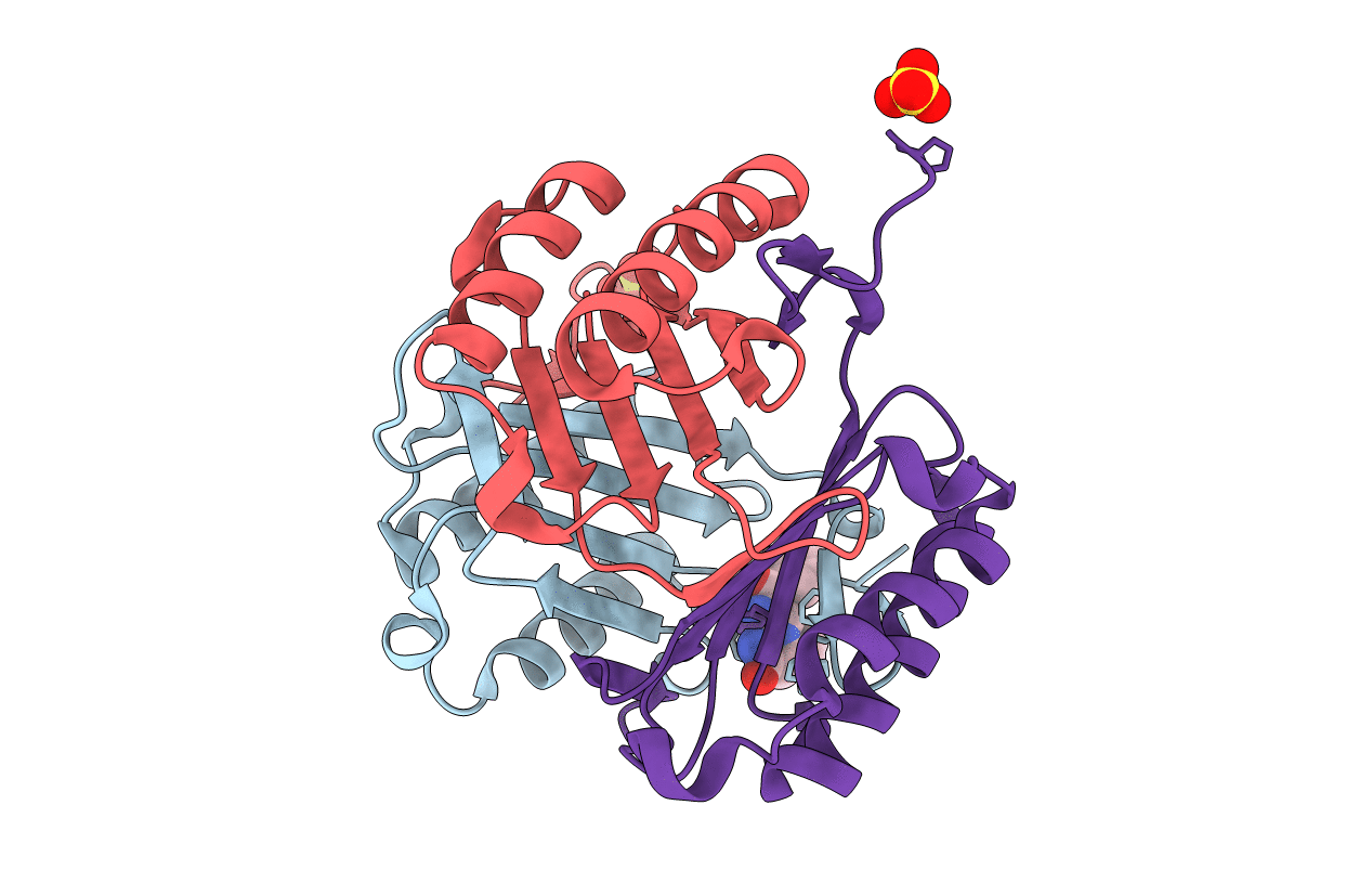 3L5S image