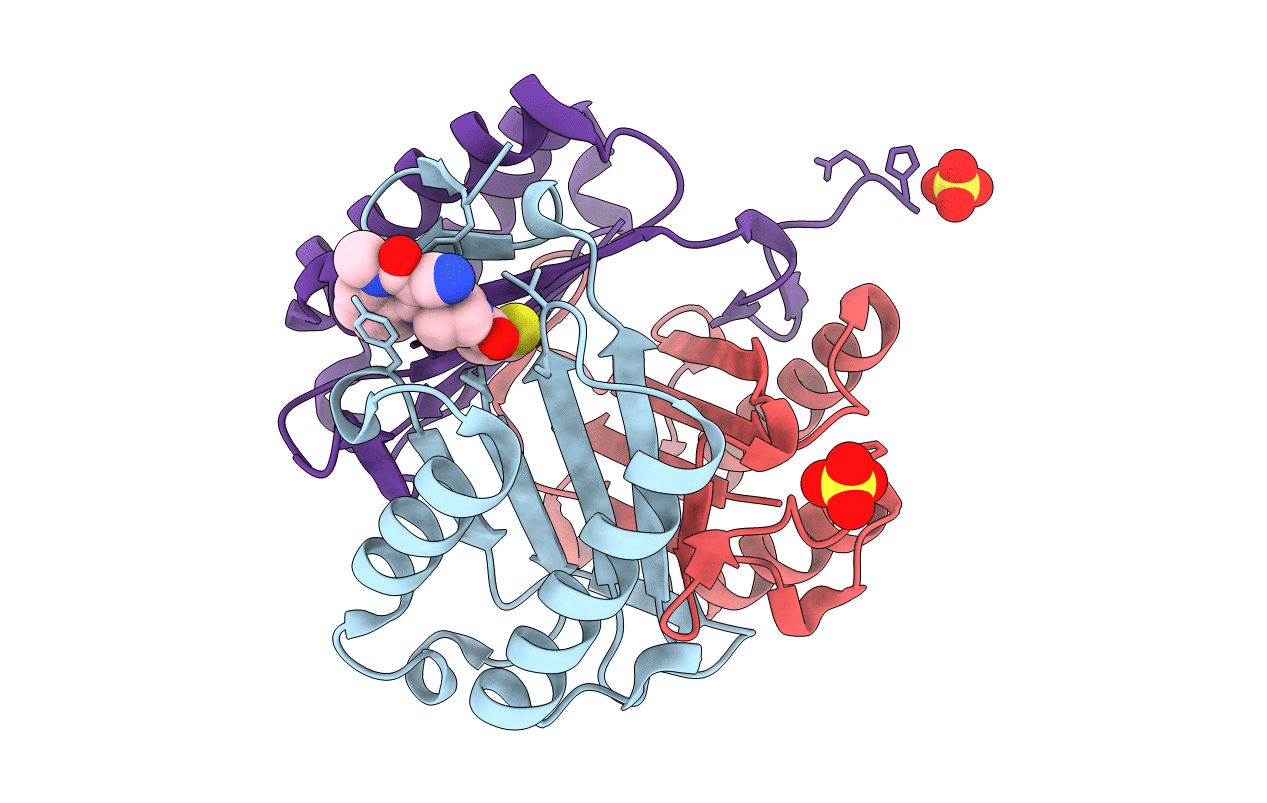 3L5T image