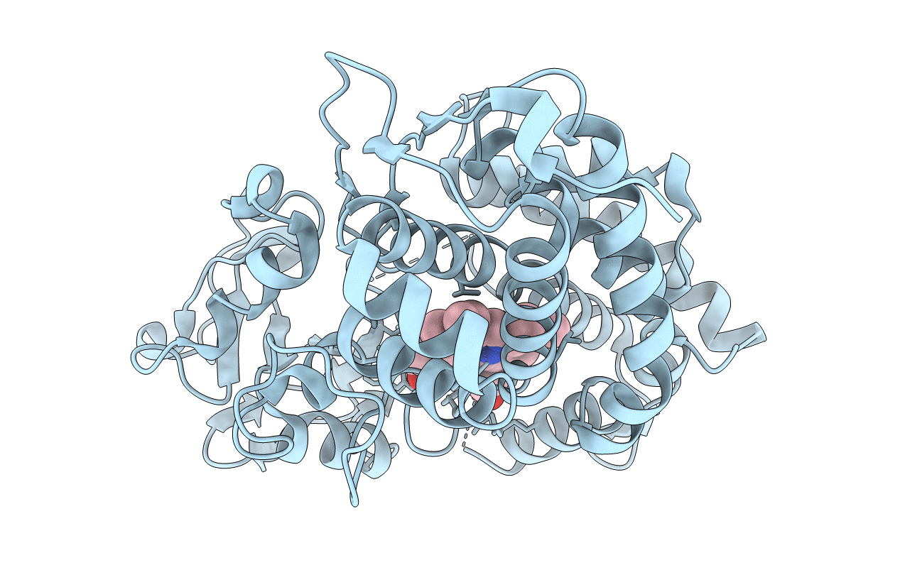 3L62 image
