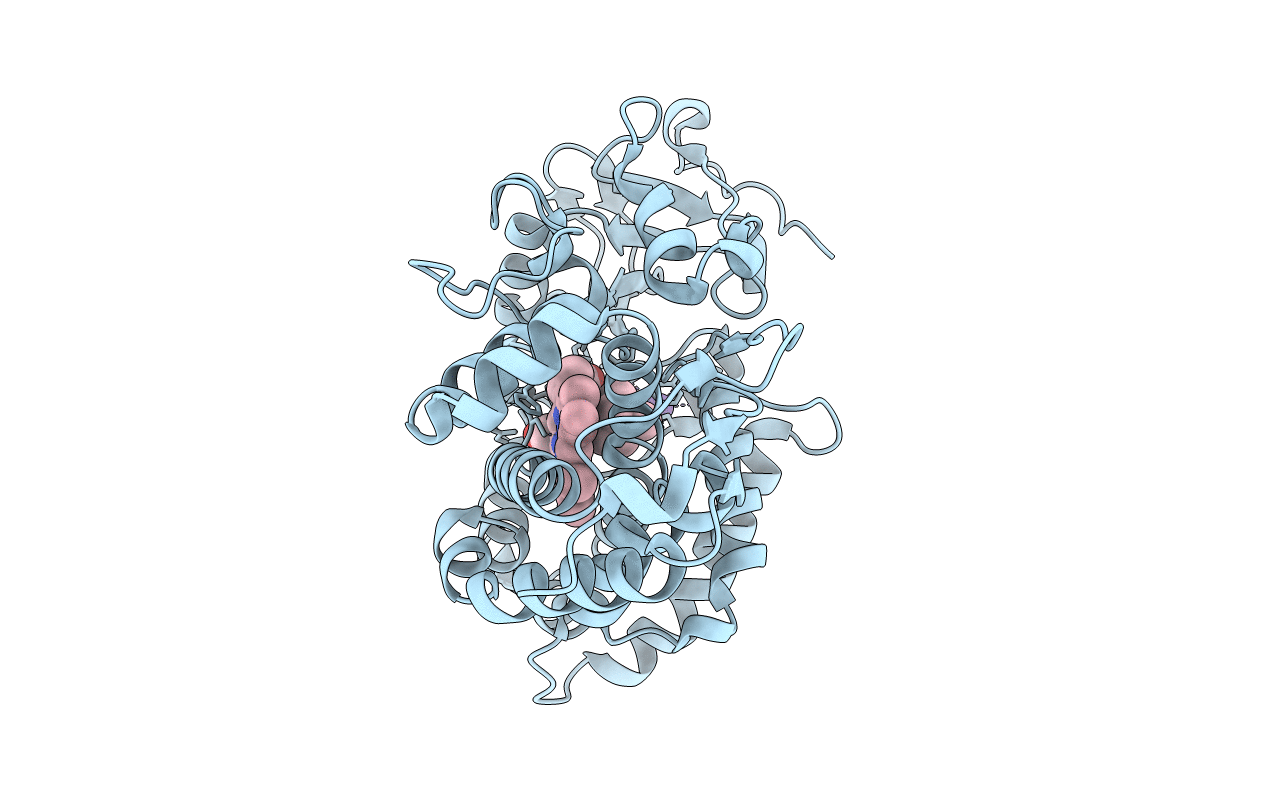 3L63 image