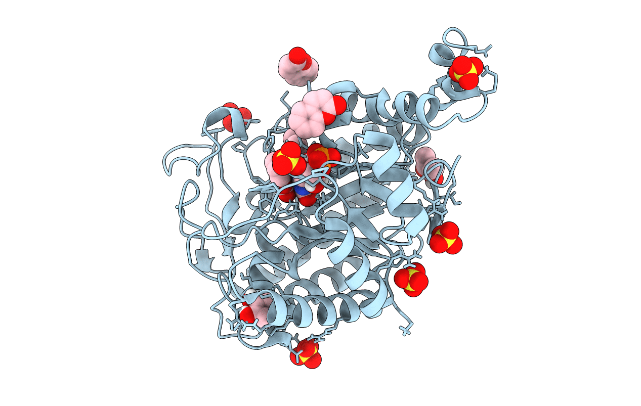 3L66 image