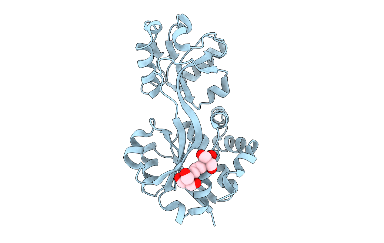 3L6G image