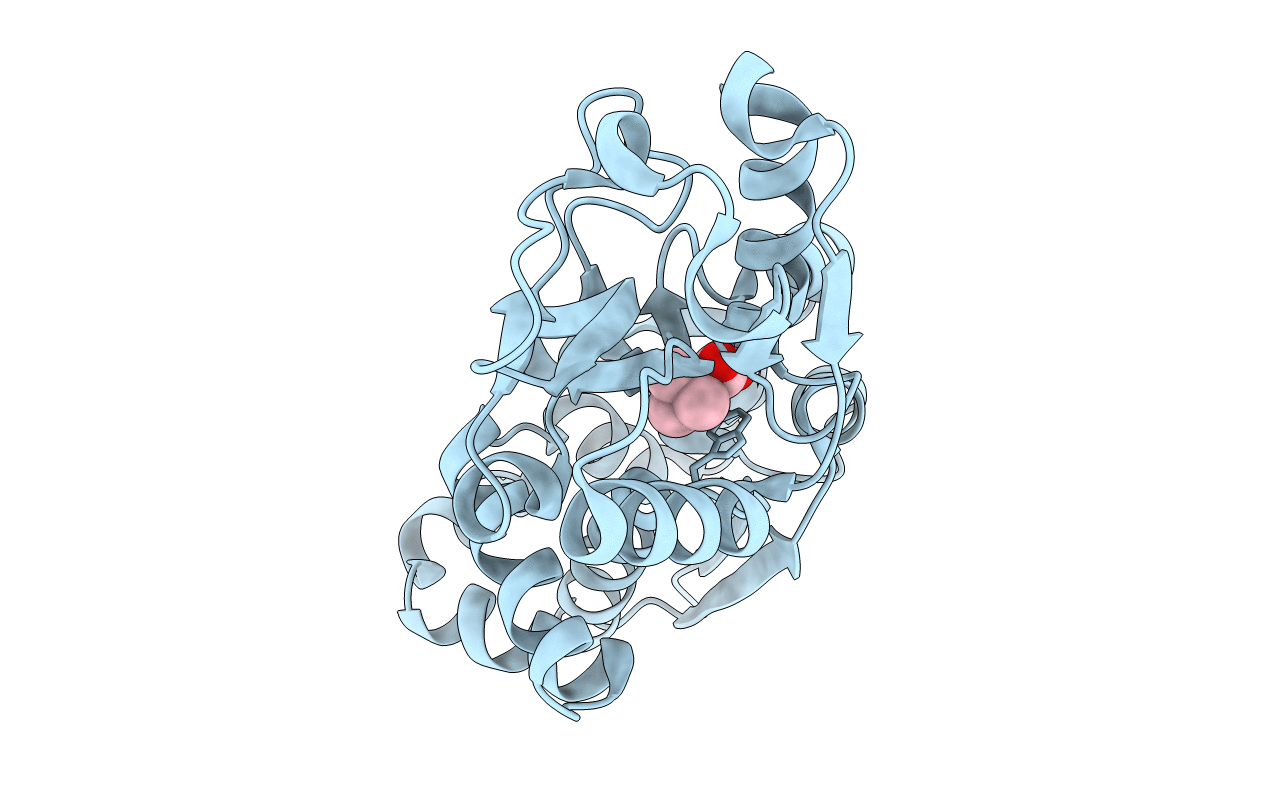 3L6H image