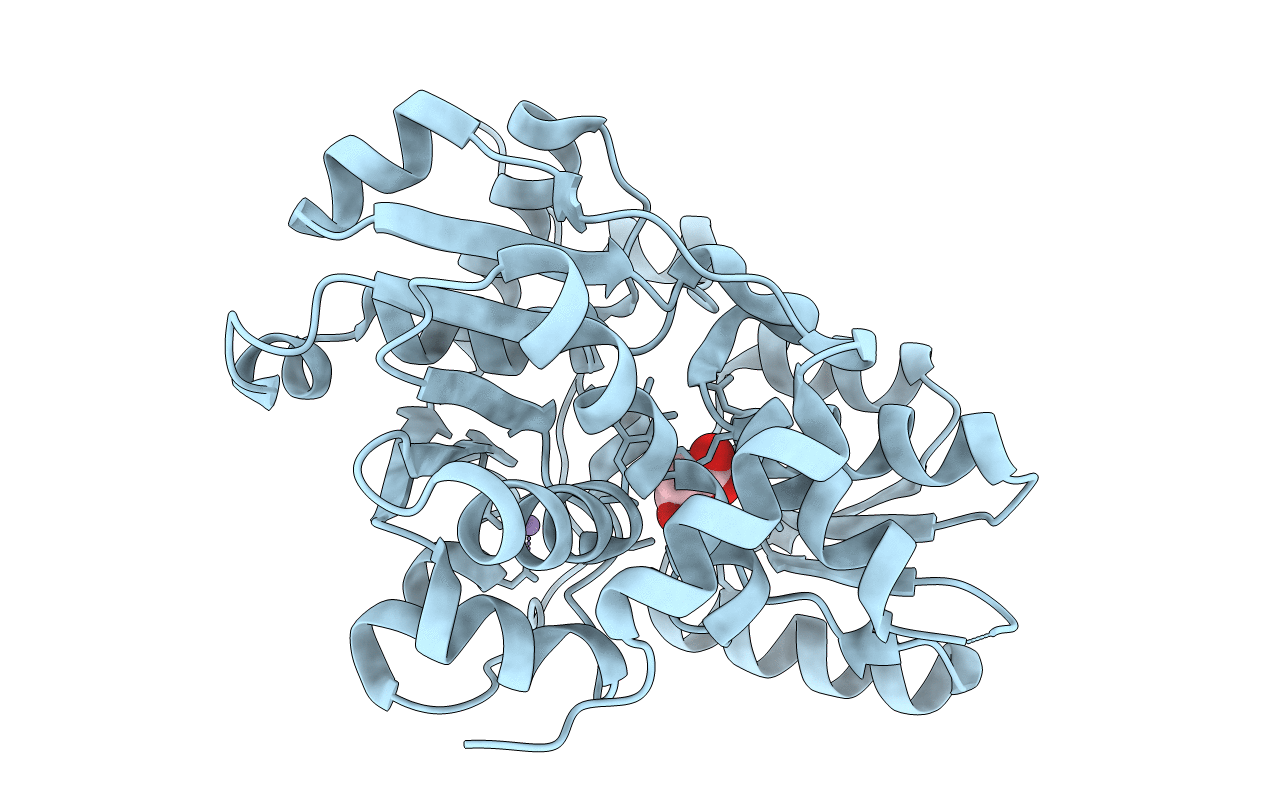 3L6R image