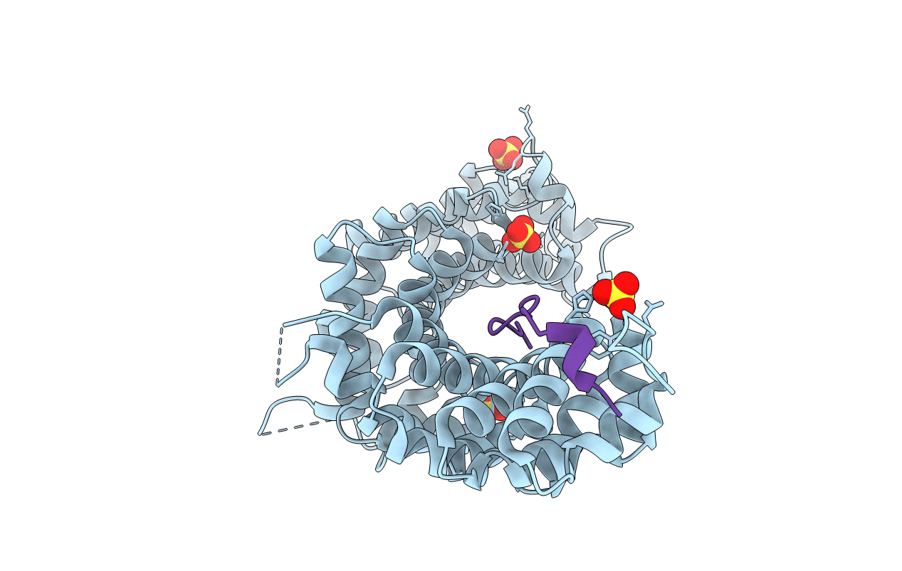 3L6X image