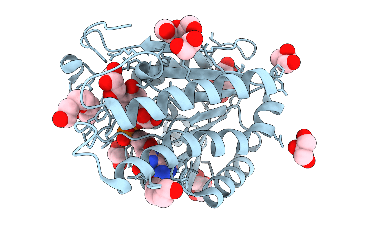 3L77 image