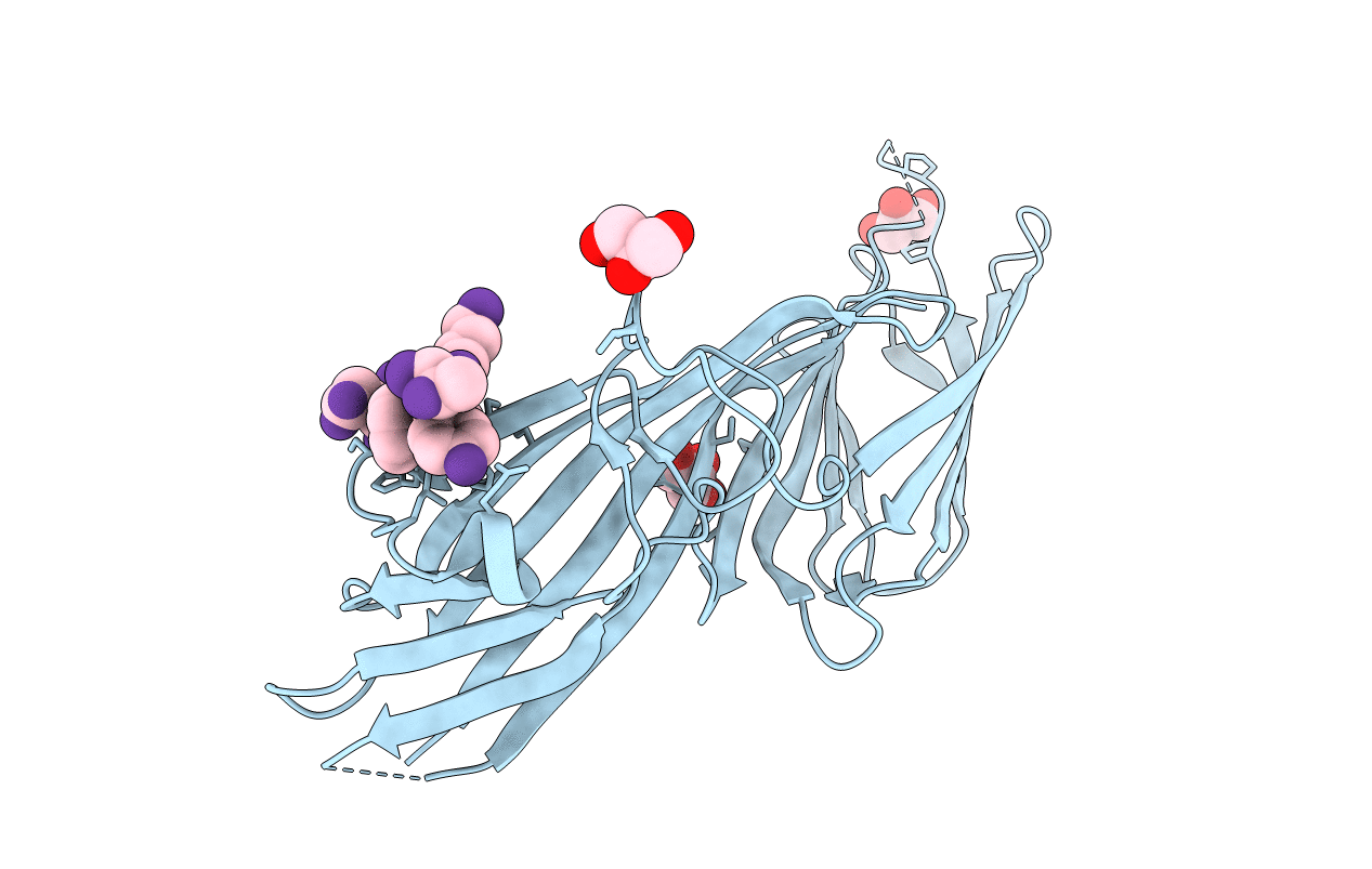 3L81 image