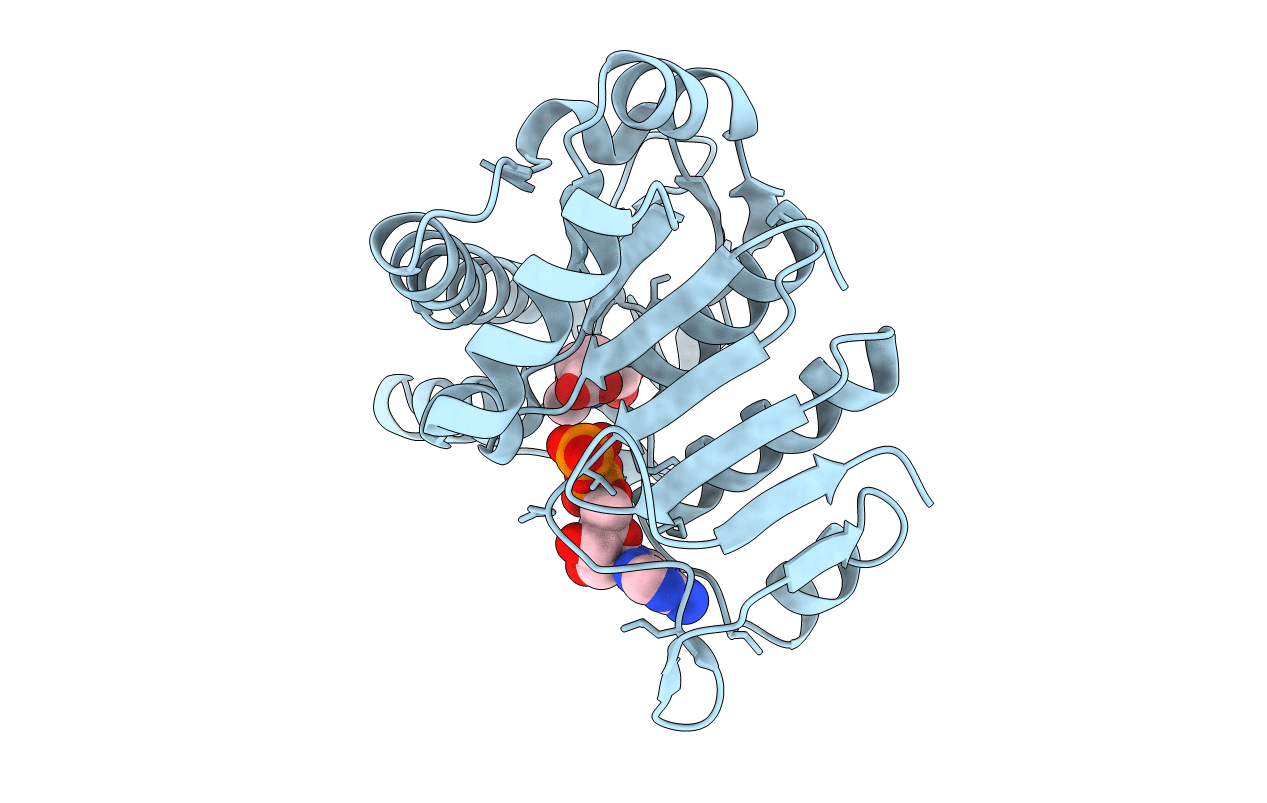 3L86 image