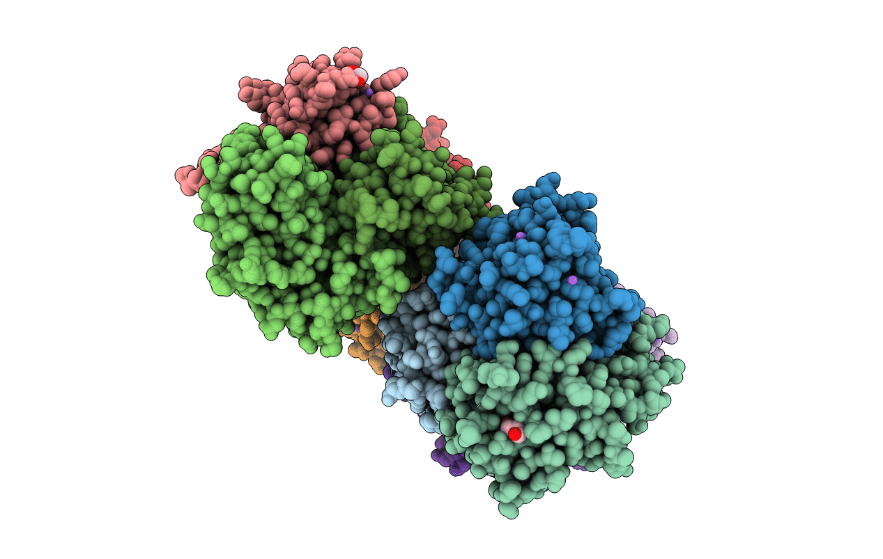 3L88 image