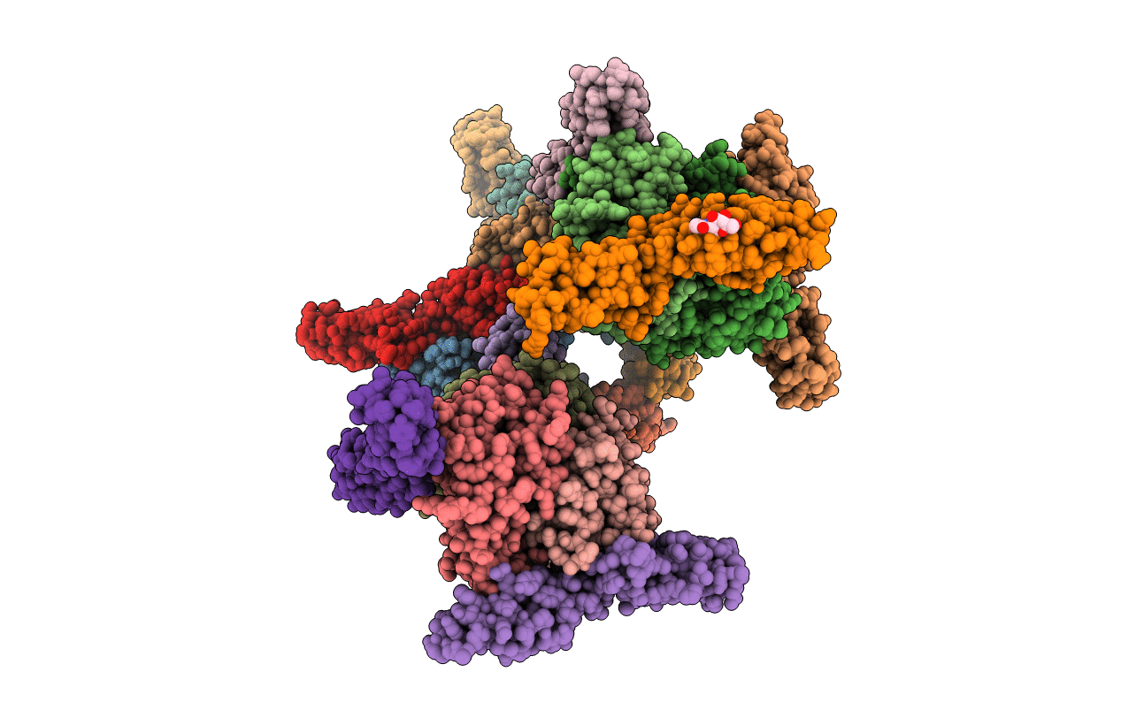 3L89 image