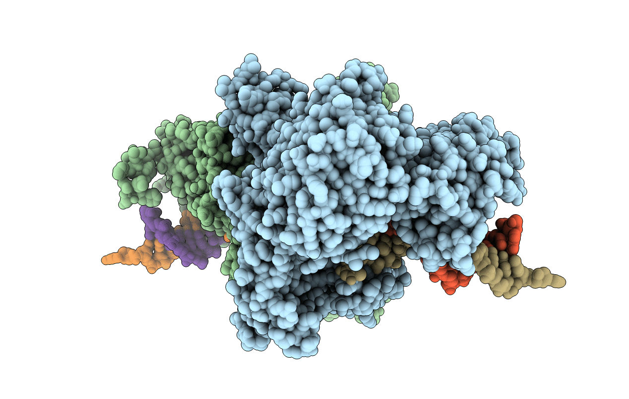 3L8B image